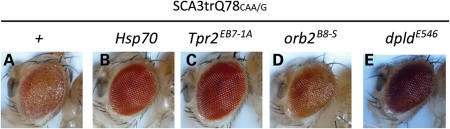 Figure 7.