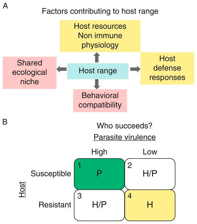 FIGURE 5.1