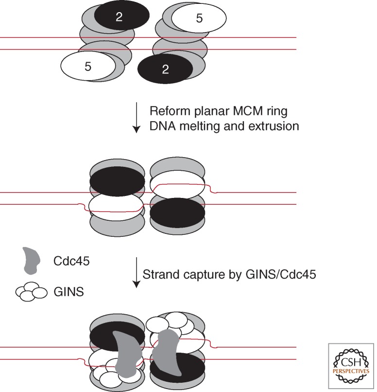 Figure 5.