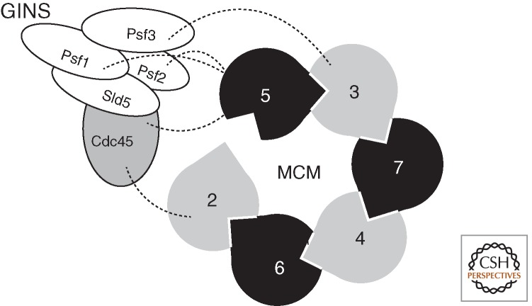 Figure 4.