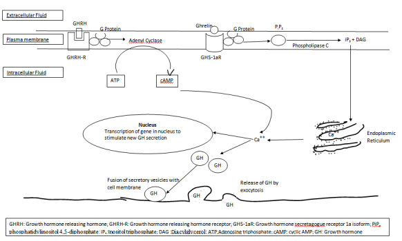 [Table/Fig-2]: