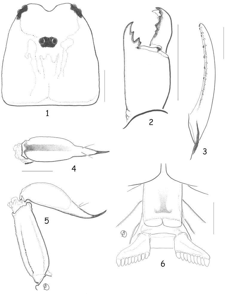 Figures 1–6.