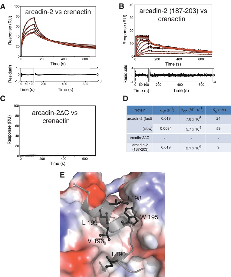 Figure 3—figure supplement 2.