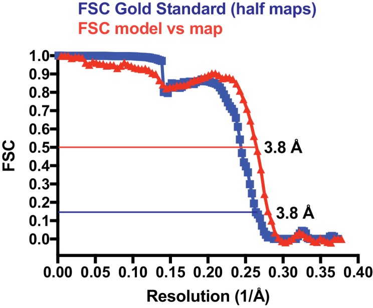 Figure 1—figure supplement 1.