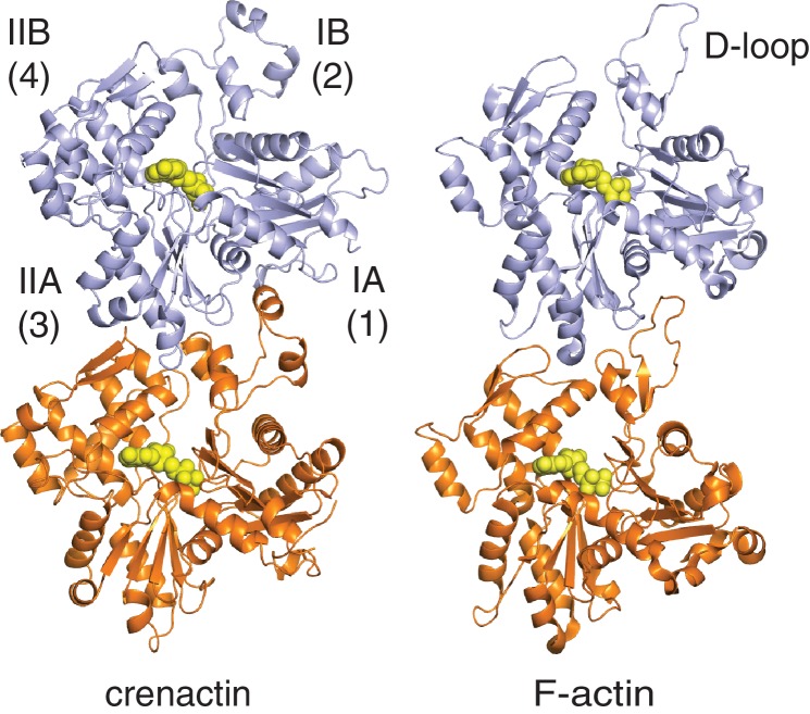 Figure 2—figure supplement 1.