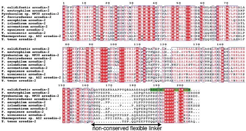 Figure 3—figure supplement 1.