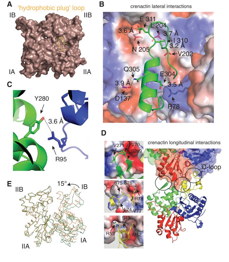 Figure 2—figure supplement 2.