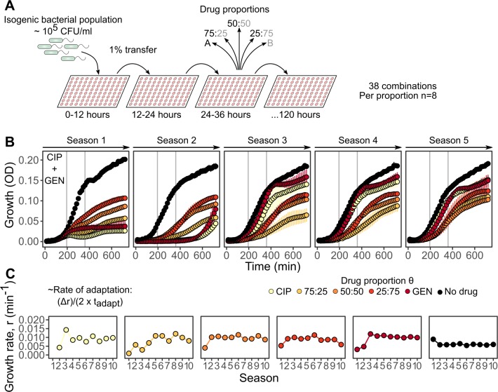 Fig 3