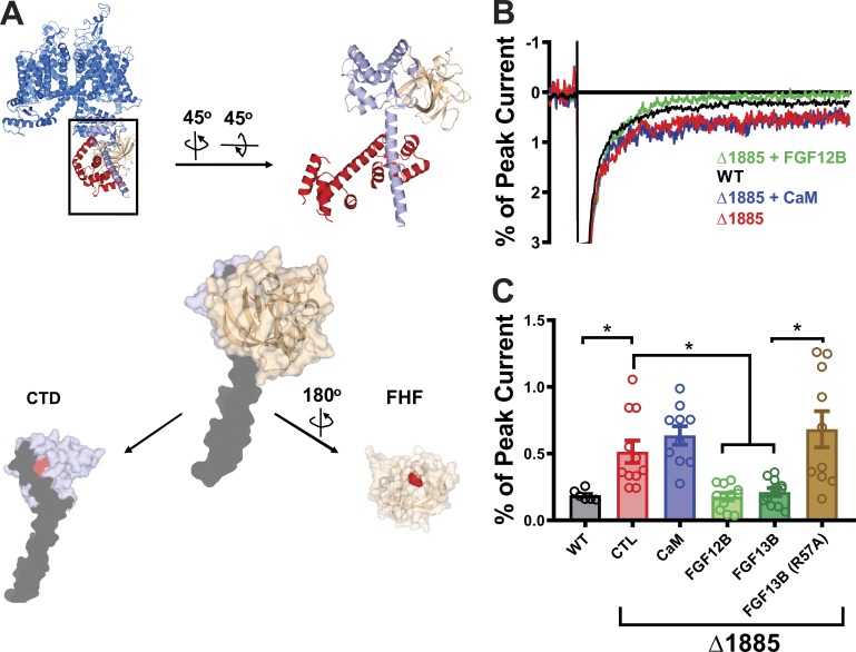 Figure 2.