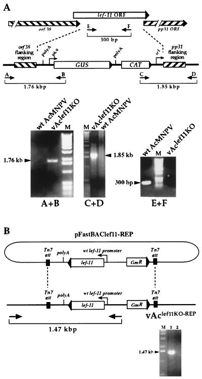 FIG.2.