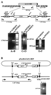 FIG.2.