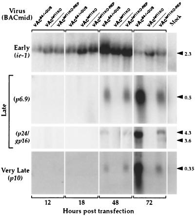 FIG. 6.