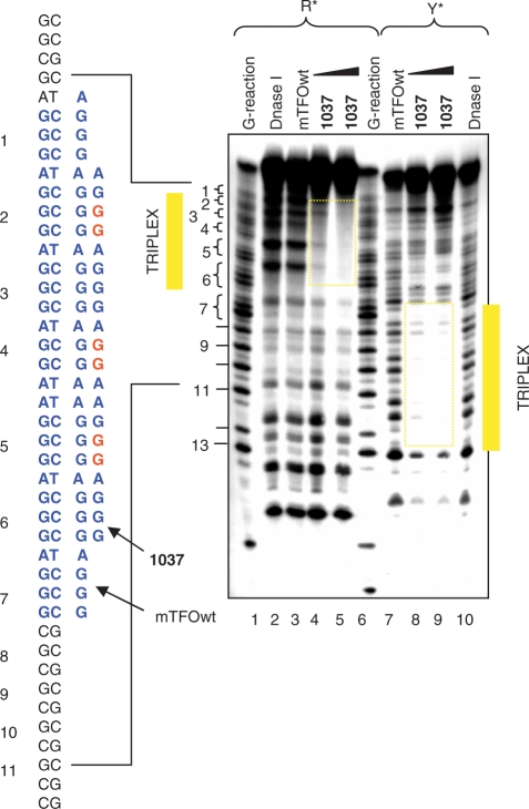 Figure 5.