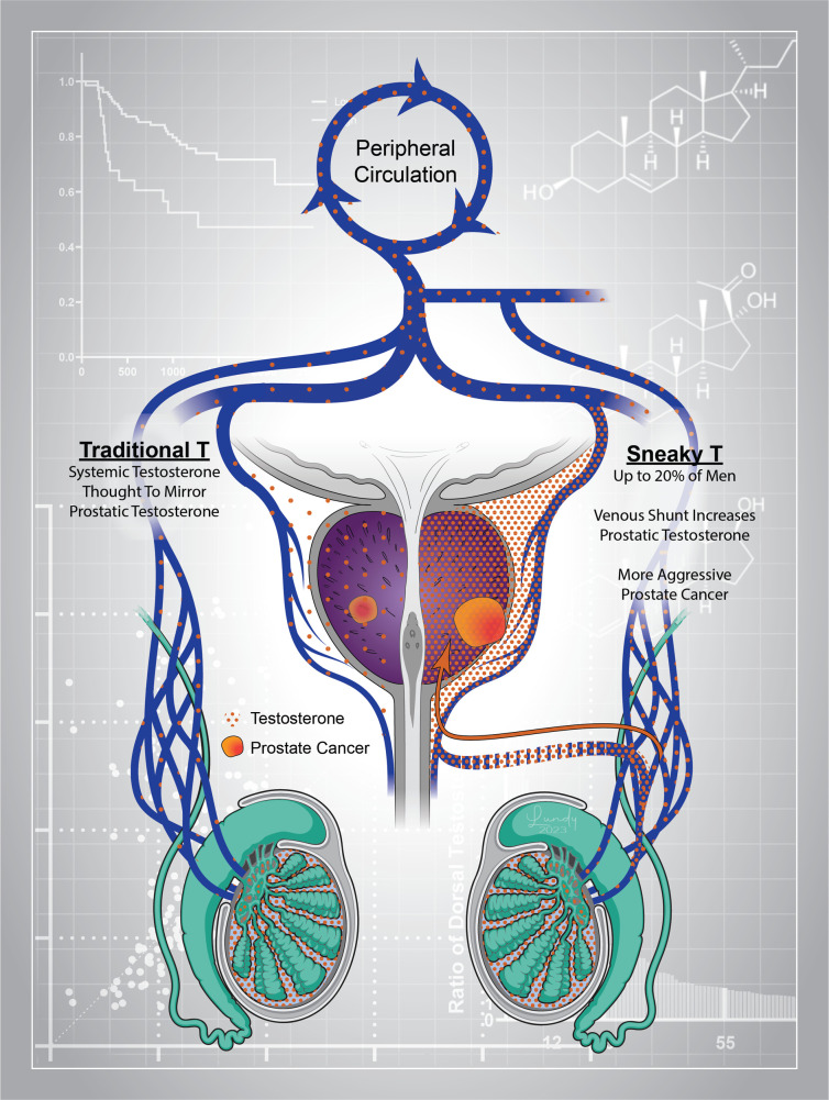 graphic file with name jci-133-171117-g011.jpg