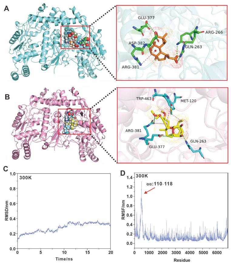 Figure 6