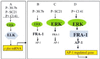 FIG. 10.