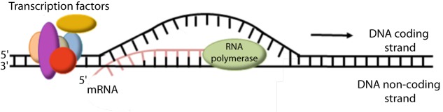 Figure 4.