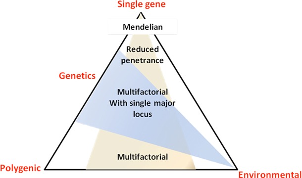 Figure 11.