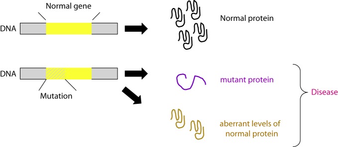 Figure 9.