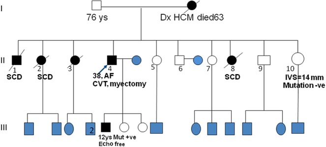 Figure 12.