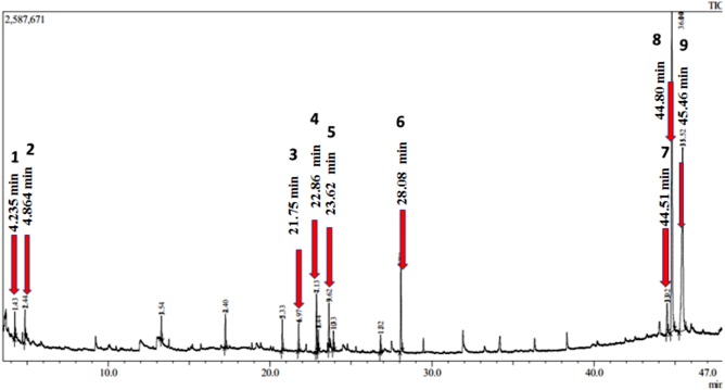 Figure 7