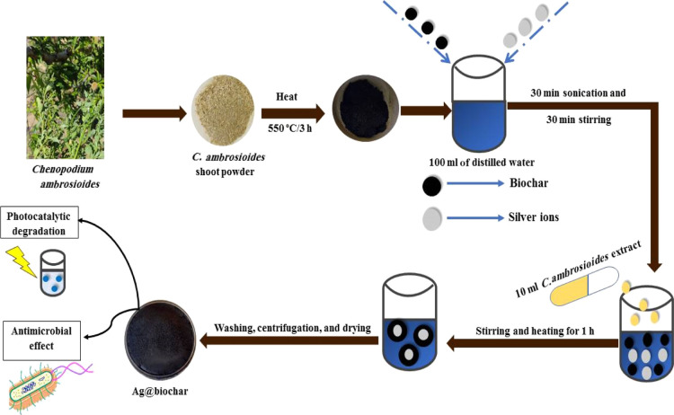 Scheme 1