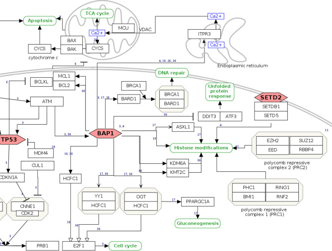 Figure 2