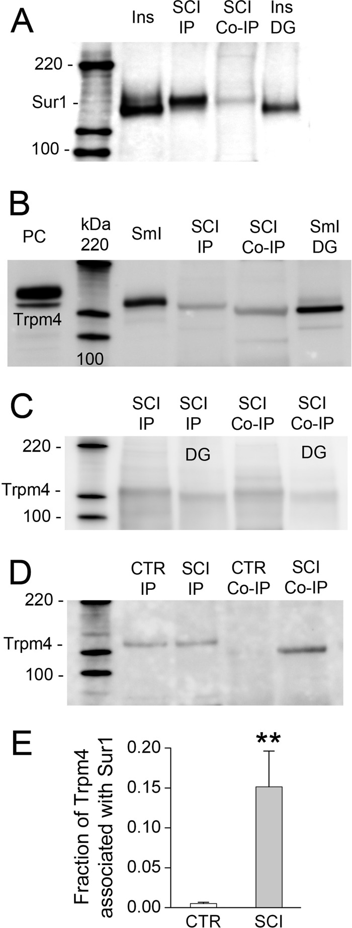 FIGURE 10.