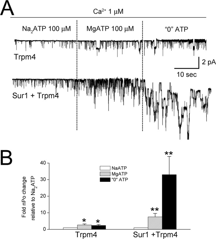 FIGURE 7.