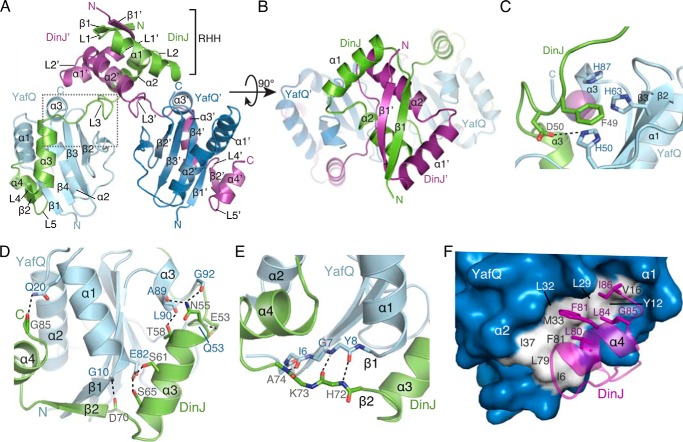 FIGURE 1.