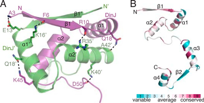 FIGURE 2.