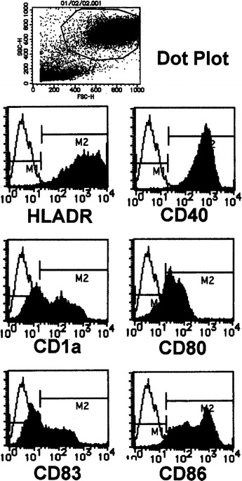 Fig. 2.