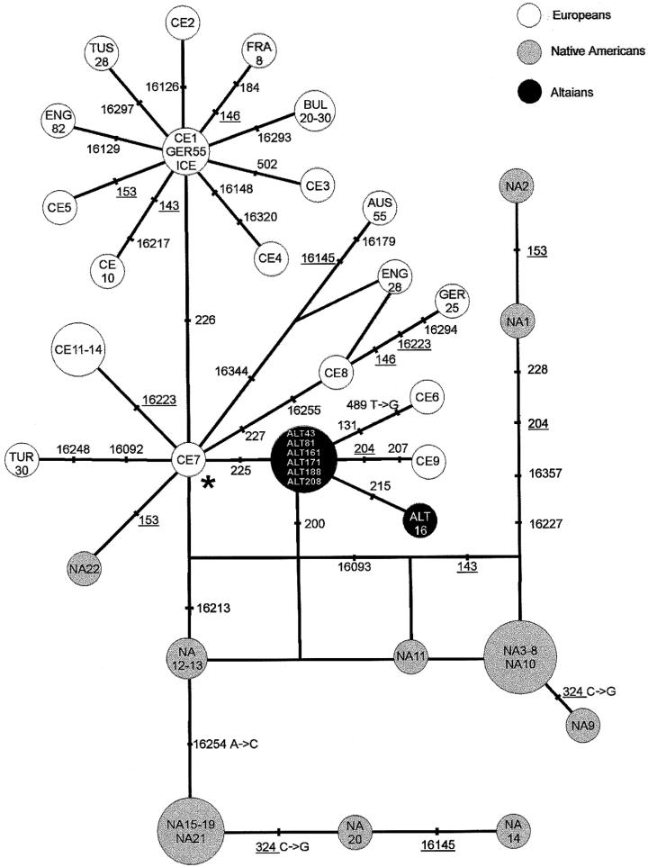 Figure  1