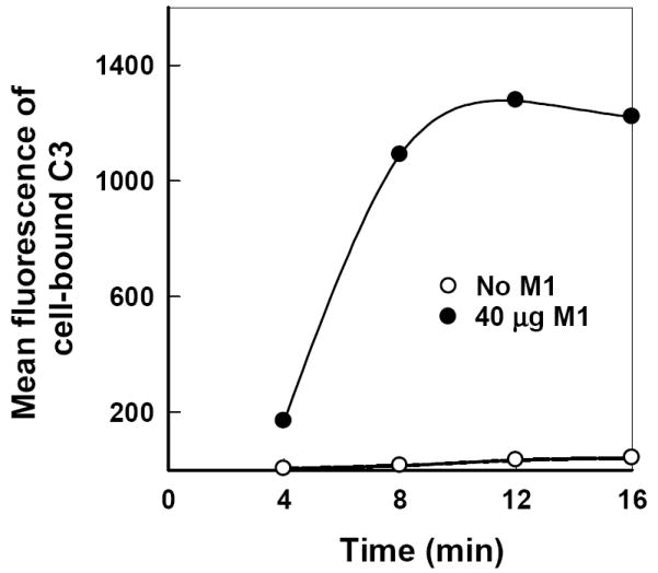 FIG. 3