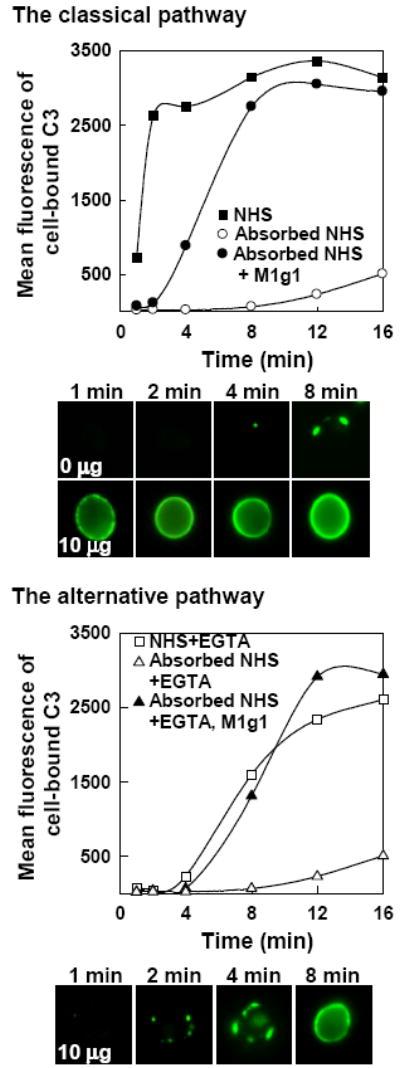 FIG. 1