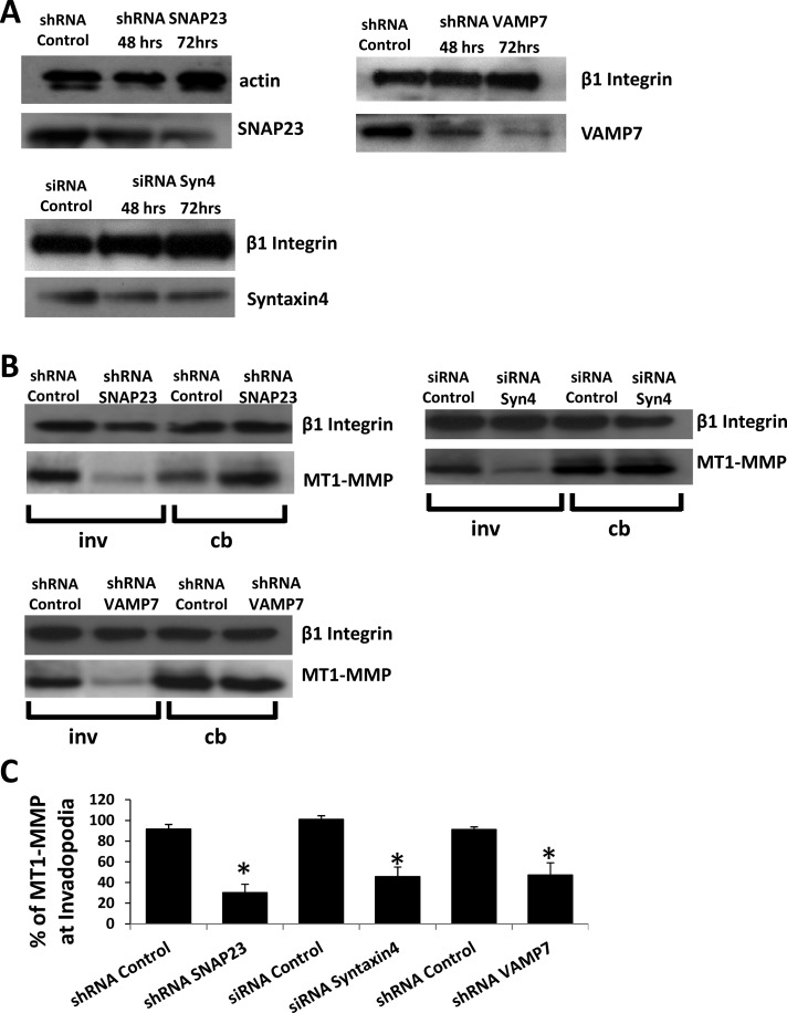 FIGURE 4: