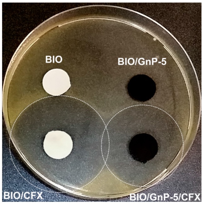 Figure 5