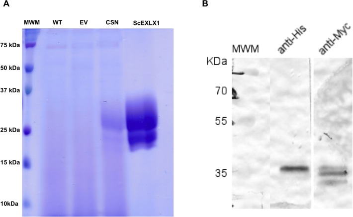 Fig 4