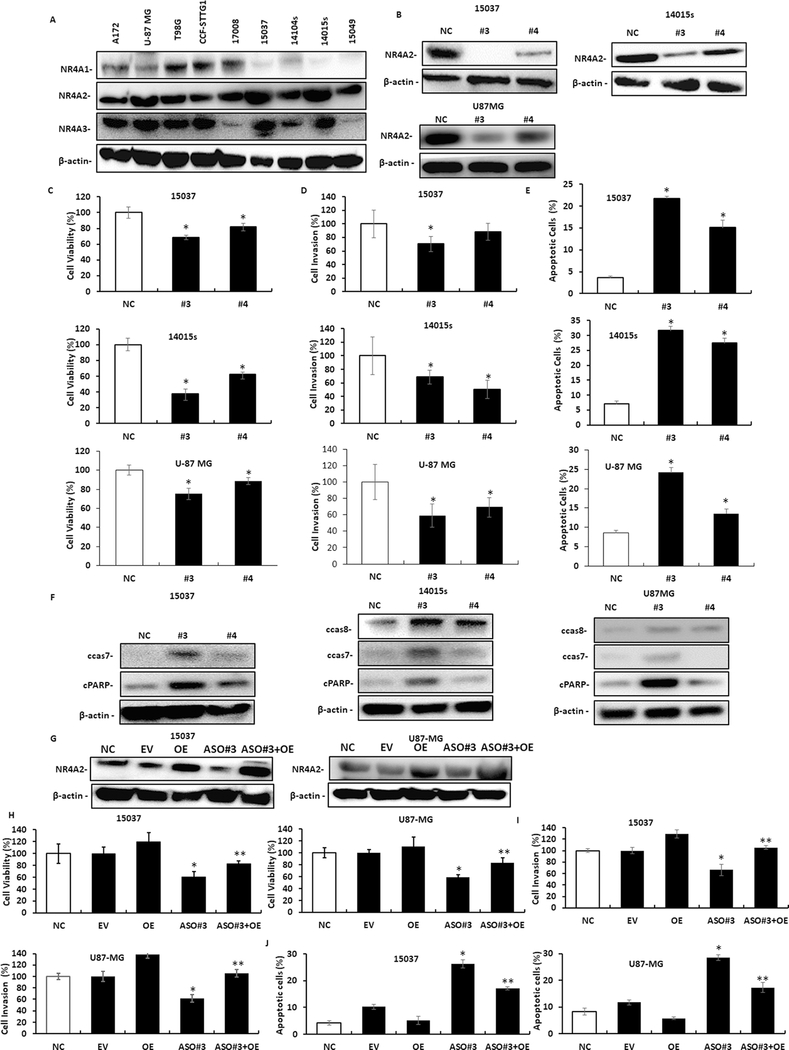 Figure.1.