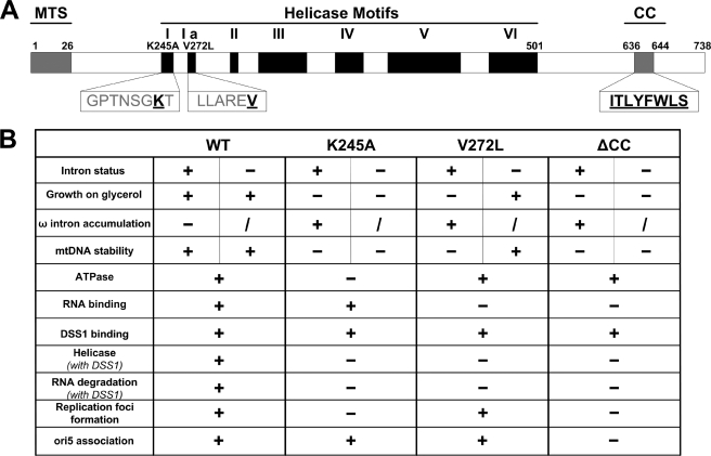 FIGURE 7.