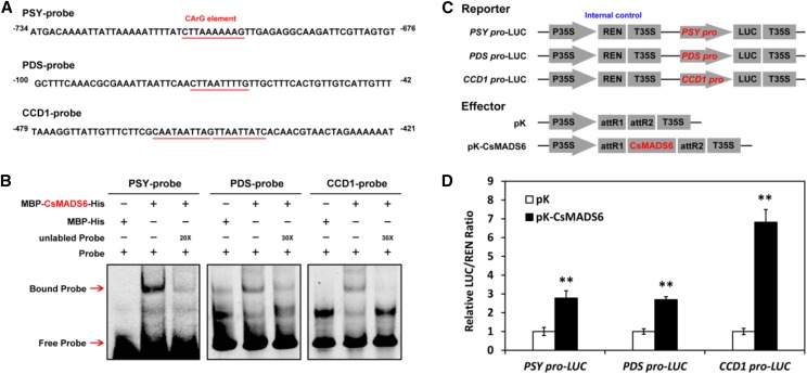 Figure 6.