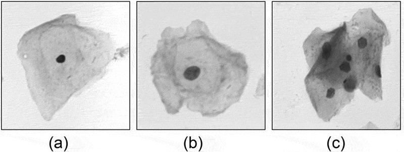 Figure 4.