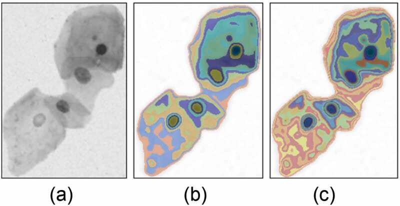 Figure 6.