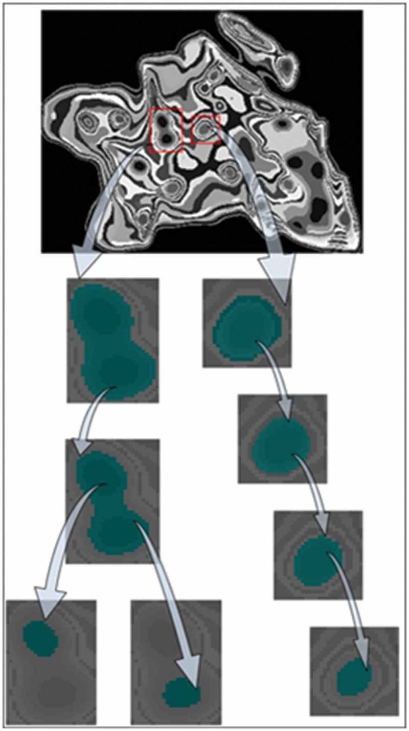 Figure 7.