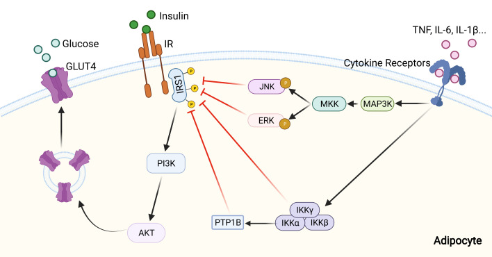 Figure 3