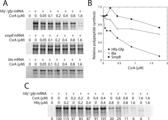 FIG. 5.