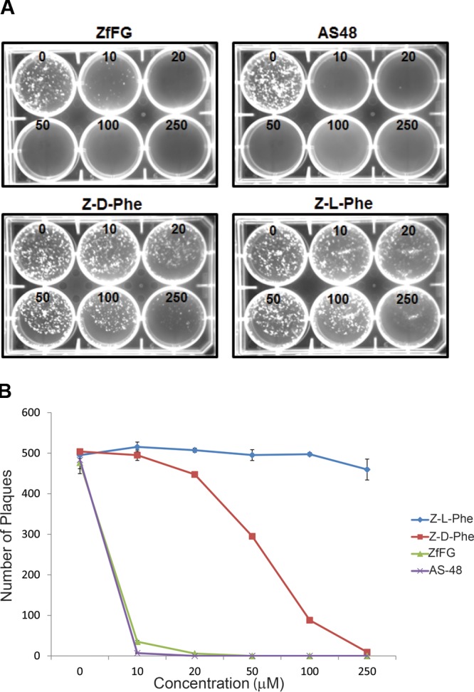 FIG 2