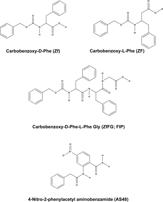 FIG 1