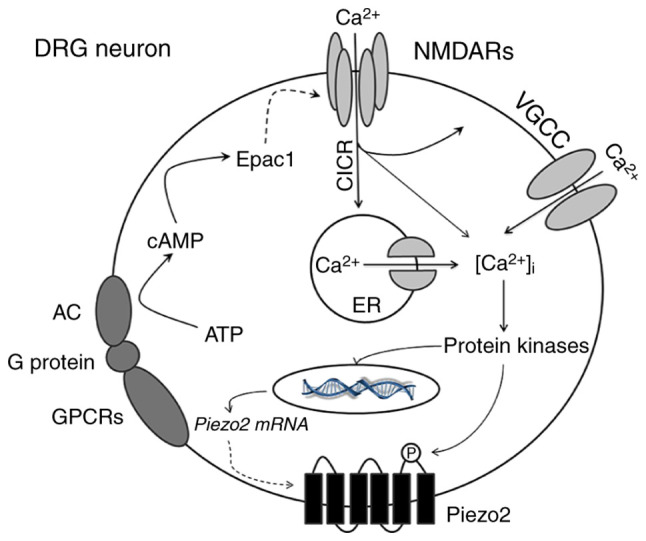 Figure 5.