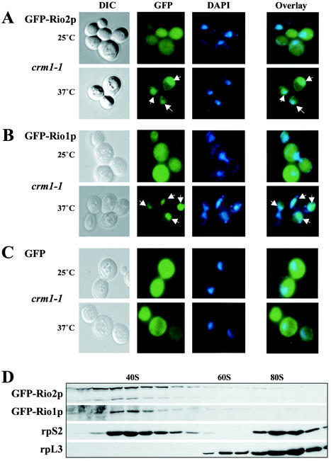 FIG.7.